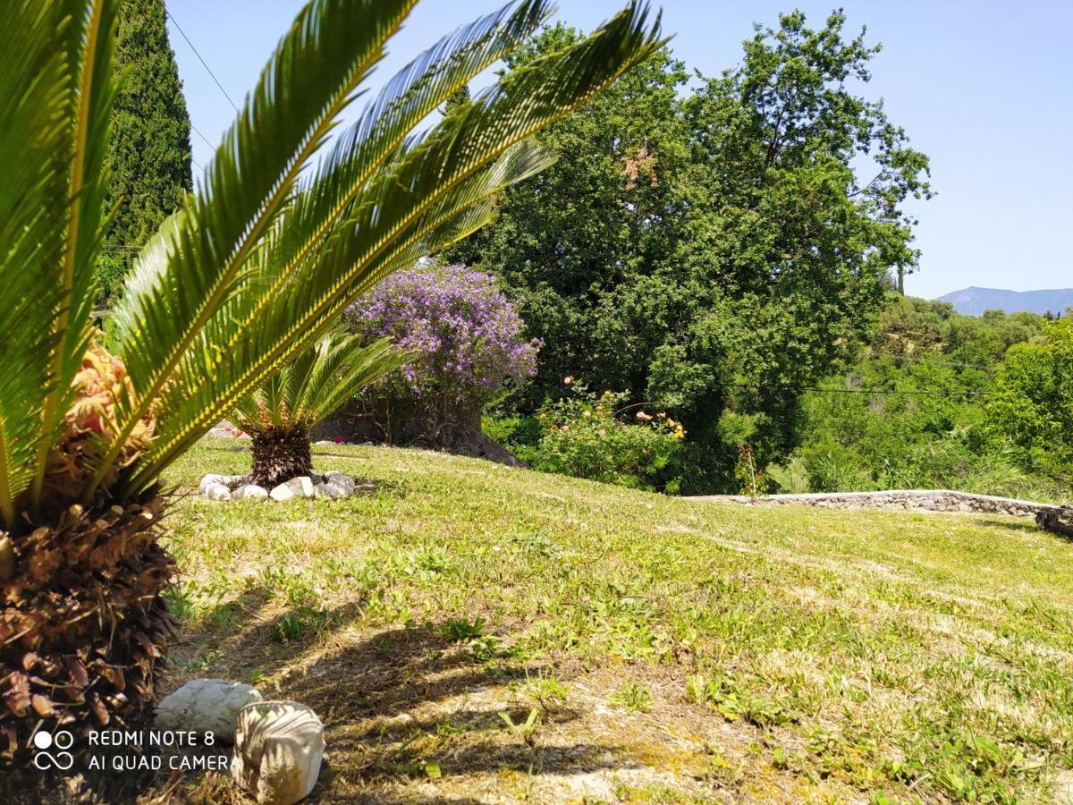 Corfu Villa Galini Potamós 外观 照片
