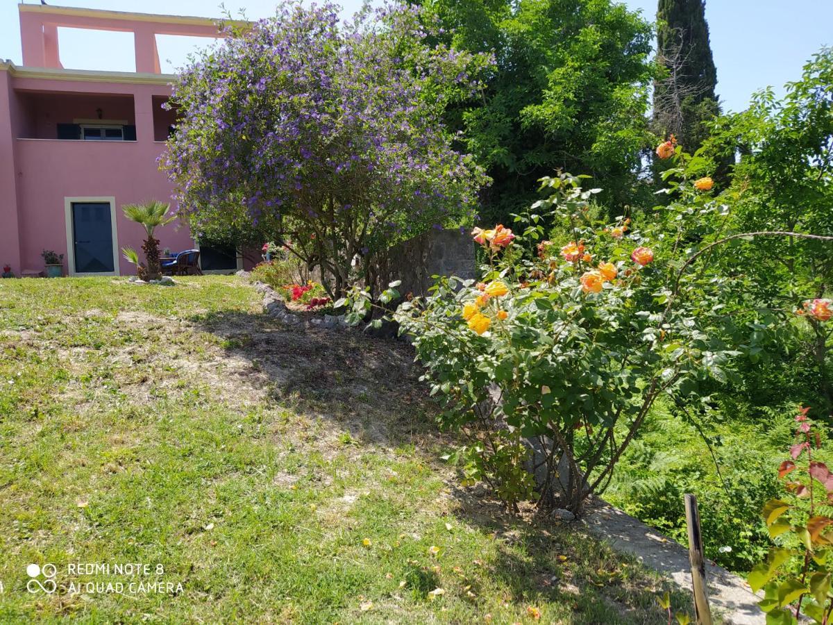 Corfu Villa Galini Potamós 外观 照片